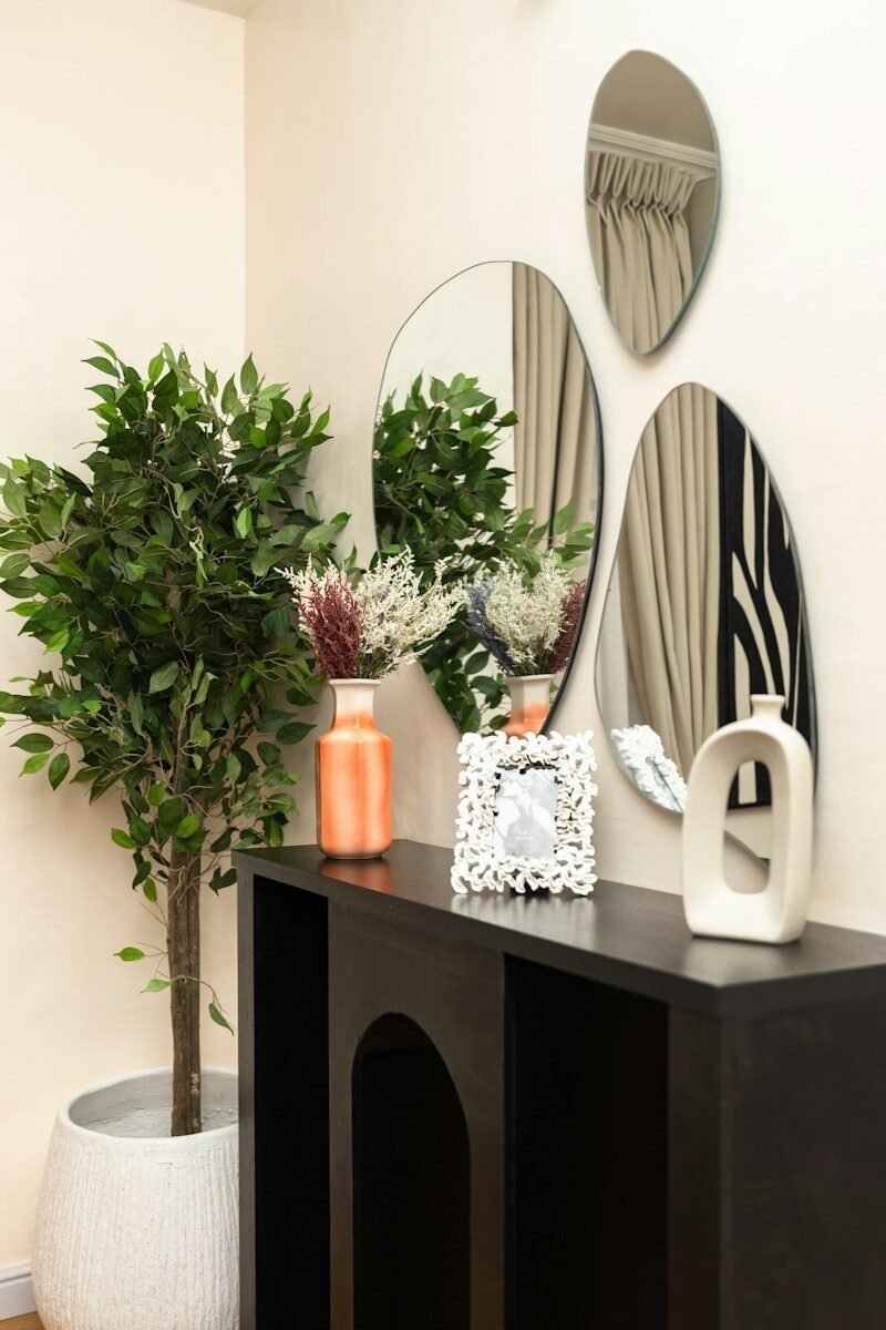 Modern entryway with a console table, plant, and abstract mirrors